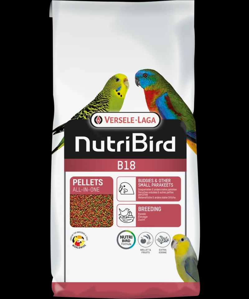 پلت میوه‌ای ریز برند ورسلاگا