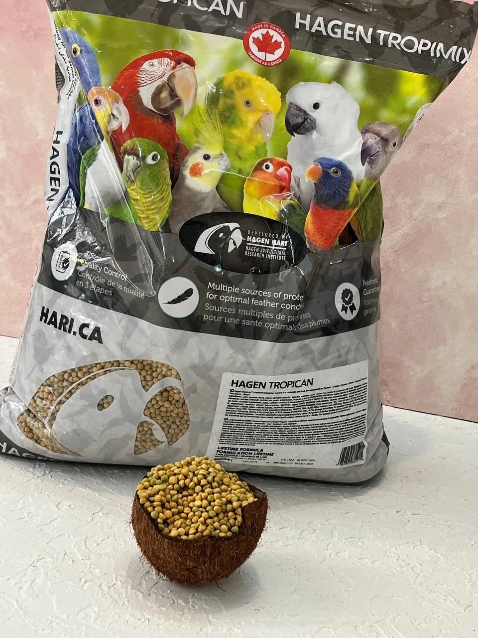 پلت متوسط برند هاگن (روزانه)