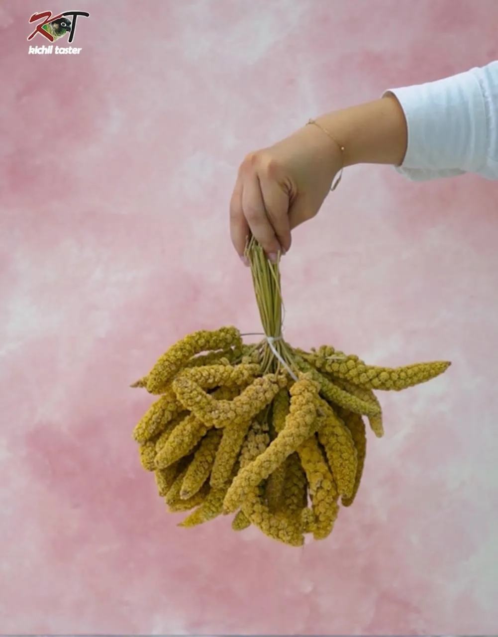 ارزن خوشه ای