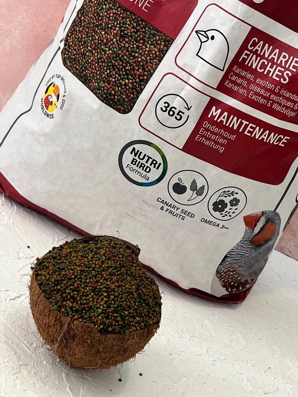 پلت ریز برند ورسلاگا