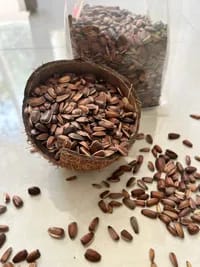 تخمه آفتابگردان