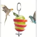 استیک (سیخ) میوه