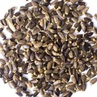 دانه خار مریم