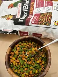 پلت میوه‌ای درشت برند ورسلاگا