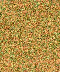 پلت میوه‌ای ریز برند ورسلاگا