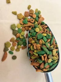 پلت میوه‌ای درشت برند ورسلاگا