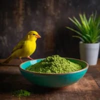 گرانول سبزیجات برند آوس تروپیکن