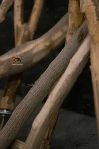 چوب نشیمن دو شاخه