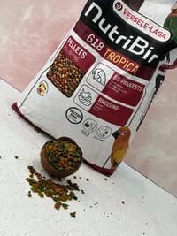 پلت میوه‌ای درشت برند ورسلاگا