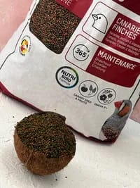 پلت ریز برند ورسلاگا