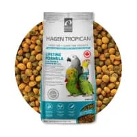 پلت متوسط برند هاگن 