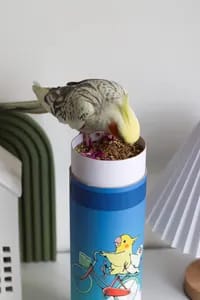 دان مخلوط طوطی سانان