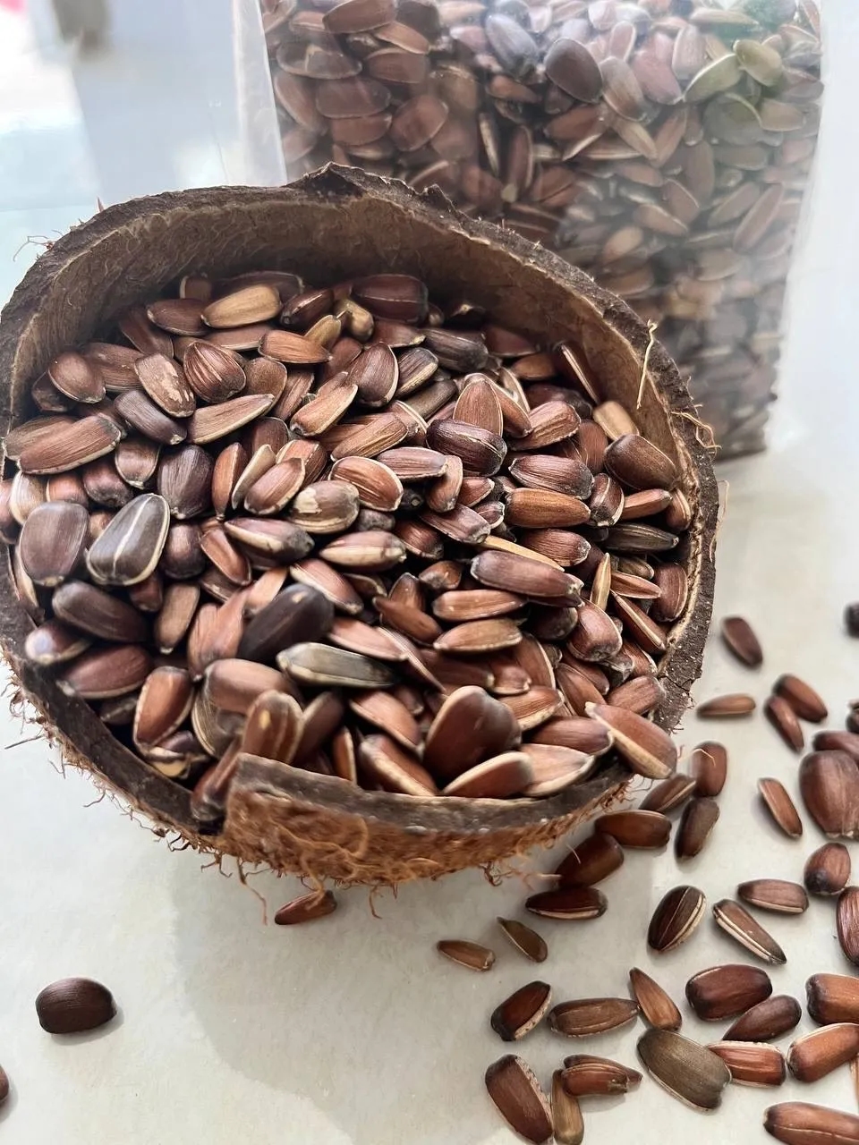 تخمه آفتابگردان