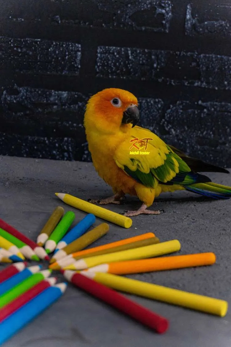 مداد رنگی چوبی