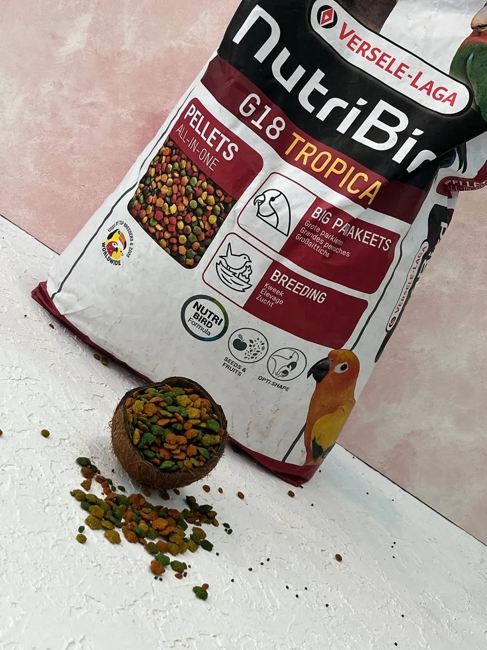 پلت میوهای درشت برند ورسلاگا